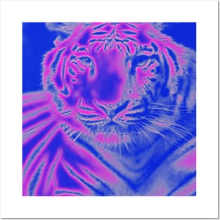 White Tiger from India - Pink colour Posters and Art